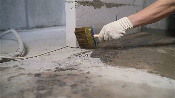 24/7 Emergency Wet Basement Repair experts in Harpster, OH